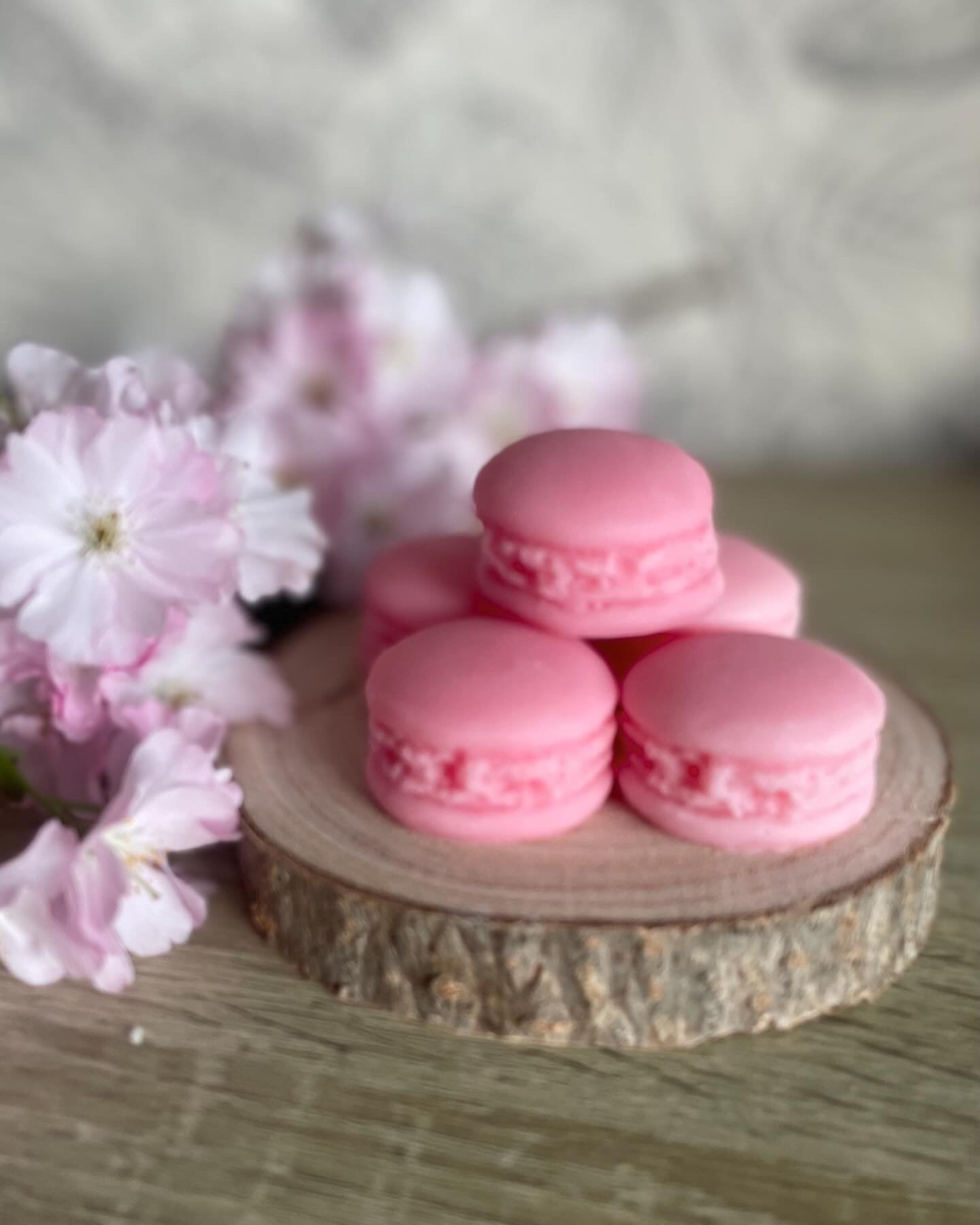 Fondants Macaron