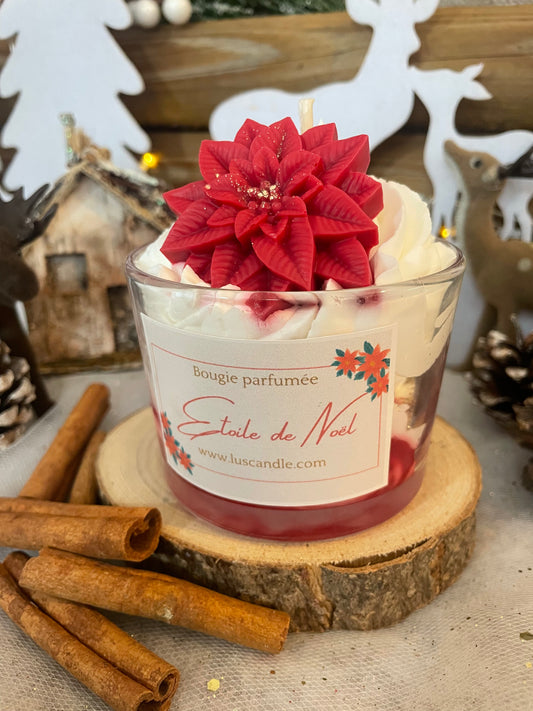 Étoile de Noël