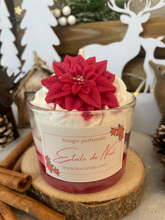 Étoile de Noël