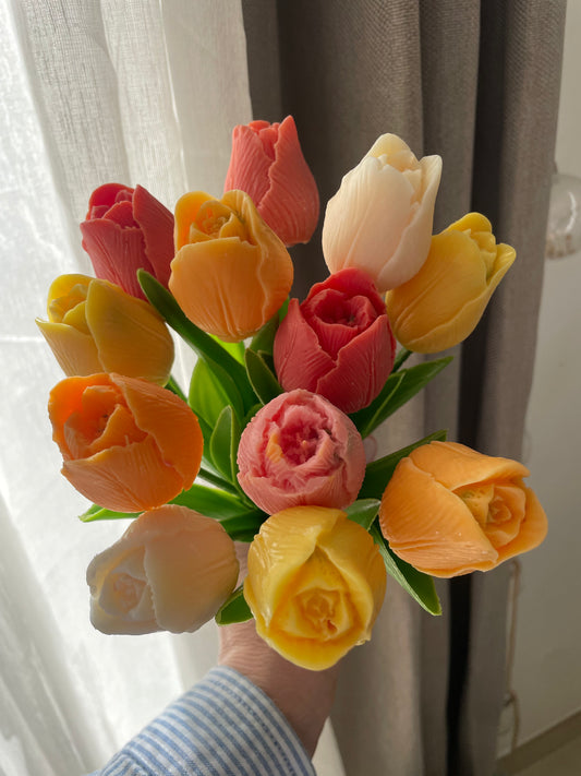 Tulipe