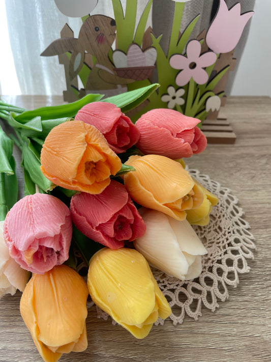 Tulipe